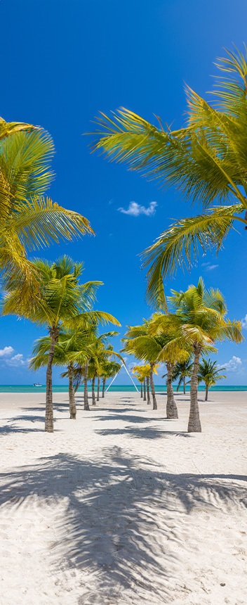 Qué hacer en Cozumel