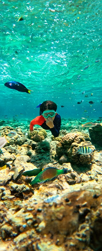Qué hacer en Puerto Vallarta